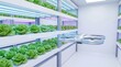 © Rizki zf - Autonomous smart drone scanning fresh lettuce crop inside modern hydroponic indoor vertical farm for sustainable agritech food production