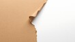 © MBAK NAH - Brown paper peeling away to reveal white background.