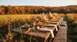 © Pure Pro Stock - Long rustic wooden dinner table set for an outdoor autumn party in a scenic golden field with trees in the background