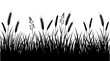 © MstSuma - Silhouette of grass and wheat ears
