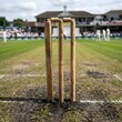 © Aina - Wooden cricket stumps on green pitch, traditional cricket wickets with bails, summer sports ground match background