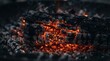 © Muhammad Dodik - Charcoal log glows with intense heat from burning embers in a dark fireplace.
