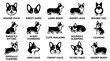 © Irtiko - Black and white corgi dog vector illustration set for pet design