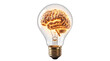© MRamzan - Glowing human brain inside light bulb, creative intelligence concept, bright idea and innovation symbol, mental power and psychology isolated PNG with Transparent Background