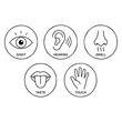 © MDMONIR - Five human senses line art vector