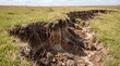 © Bagus Visuals AI Art - Close-up view of soil erosion affecting plant roots and vegetation in agricultural land