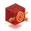 © Dill Afroze - Red binary code cube with a target symbol and an arrow hitting the bullseye on a clean isolated white background