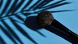 © HALLO - A fluffy makeup brush casts a dramatic shadow from a palm frond