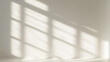 © BlackBridge Media - Sunlight and Window Shadow Overlay on White Wall
