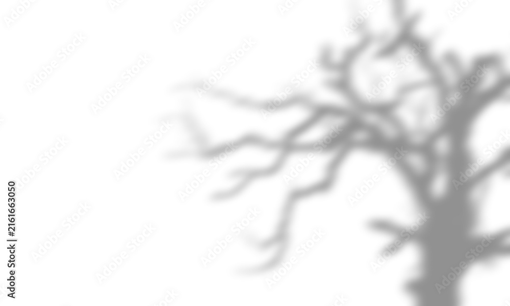 Shadow overlay effects of realistic abstract scary tree shadow on wall ...