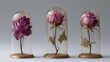 © Anastasia - Three glass cloches with a gold base. each cloche has a single dried rose inside. the rose is a deep purple color and appears to be wilted and wilted.