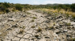 © LineArtColoring - Dry cracked earth in a drought stricken arid landscape with sparse vegetation