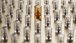 © Liesia Stock - Unique Golden Electronic Component Leading the Array