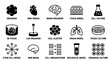 © Irtiko - Scientific vector illustration set of organoid and biological research icons