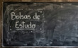 © velikiyzayats - Bolsas de Estudo escrito a giz no quadro negro representando educacao faculdade e ensino