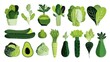 © Sinechana - Flat vector vegetable illustration, arranged decorative set of fresh greens, green color palette with clean lines, healthy living and vegan lifestyle theme