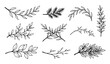 © Lavli - Black hand drawn botanical branches and leafy twigs minimalist line art vector collection