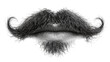 © ghetu - Black curly handlebar mustache and soul patch, isolated on transparent background