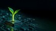 © SDR - Bioluminescent green plant sprout growing from computer microchip, sustainable technology and green energy concept, eco-friendly innovation