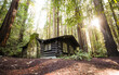 © Travel 'n' Lifestyle - View of a rustic log cabin with a stone chimney nestled among towering redwood trees in a dense forest in Humboldt County, California, United States.