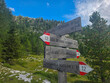 © Andrea Izzotti - Fanes Dolomites valley Wooden trail signpost pointing directions along a mountain hiking path surrounded by alpine forest, rocky meadow and distant ridgeline under a bright blue sky