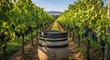 © Sayfar - Rustic wooden barrels sit nestled between lush green rows of grapevines at a sunlit vineyard during a clear summer day in the countryside, traditional, organic, storage