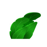 Stylized Green Tropical Bush Illustration