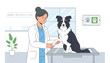 © afsana - Professional veterinarian checks the health of a fluffy border collie on an examination table inside a clean animal wellness clinic room.