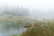 © leungchopan - Foggy misty wetland pond and trees in taiwan