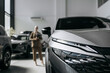 © wedmoments.stock - Woman holding a tablet beside a modern car in a dealership. Concept vehicle sales, presentation and car selection.