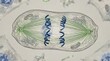 © Peace - Sister chromatids pulled apart cell