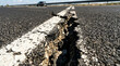 © peno - Commercial stock photo of a deep wide crack splitting a black asphalt road on a white line. Ground-level close-up of damaged highway infrastructure, pothole repair need, and asphalt texture.