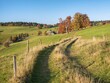© AVTG/imageBROKER - Hiking trail on Schauinsland in autumn, typical open Black Forest landscape with meadows and individual farms, solitary willow beech trees in full autumn colors, Black Forest, Baden-Württemberg, Germany