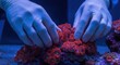 © IbragimovN - Gloved hands arranging red coral in aquarium