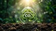 © Saiful - A conceptual image showing a small green tree growing inside a glass sphere with a CO2 cloud icon, surrounded by environmental sustainability icons, representing carbon neutrality and climate action.