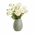 © Artelier Creative - A bouquet of white ranunculus flowers arranged in a simple grey ceramic vase, isolated on a white background, suitable for floral, home decor, or gift themes.