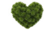 © Sejjil - A vibrant green heart shaped bush made of lush pine needles isolated against a solid black background for nature and love design concepts