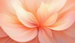 © Miller - Radiant Soft Peach Flower Petal Radial Abstract Background For Spring Poster And Greeting Card Design