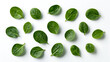 © abir - Fresh green spinach leaves isolated on white background