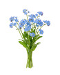 © Vova7 - Bouquet of delicate blue forget-me-not flowers on transparent background
