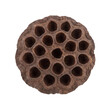 © Vova7 - Dried lotus seed head with many holes on transparent background