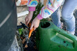 © Johanna King - Girl washing carrots with water at the allotment