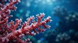 © NorthStar Creations - Close up underwater view of delicate red coral branches with tiny white crystals.