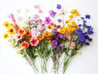 © rattana - Colorful Floral Diversity Pictured on Crisp White Background