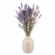 © Artelier Creative - A bouquet of lavender flowers arranged in a beige ceramic vase, isolated on a white background, suitable for home decor, floral arrangements, or botanical themes.