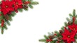 © Mostafiz - Festive christmas corner border featuring red poinsettia flowers and green pine branches isolated on a white background