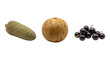 © Muhammad - Exotic tropical fruits collection, monstera deliciosa fruit with santol and jabuticaba berries, organic brazilian produce on white background