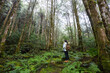 © leungchopan - Woman standing inside tall green forest trees in nature
