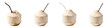 © Studicon - Four young coconuts sit isolated on a black background ready to be enjoyed