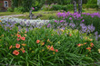 © Helena - different garden flowers are planted in the garden and blooming